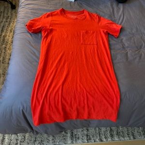 Everlane Tshirt dress